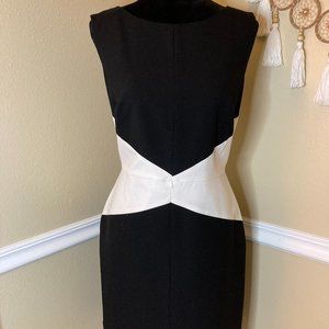 Calvin Klein Colorblock Sheath Dress